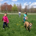 Pelham Bay Park with Kids: Swim at Orchard Beach, Go Hiking, Biking and Horseback Riding, and Explore a Historic Mansion