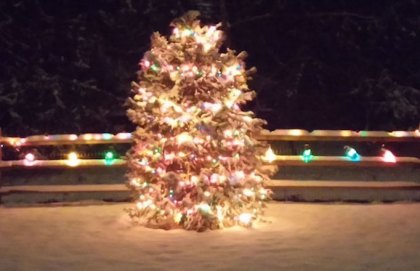 cut your own christmas tree farms in the philadelphia area cut your own christmas tree farms in the philadelphia area