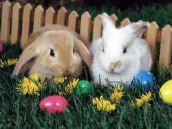 Egg Hunts on Easter Weekend for LA and OC Kids