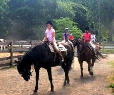 riding horseback nyc lessons rides kensington stables equestrian