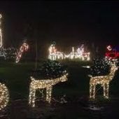 Mostly Free & Fun Things To Do With NJ Kids This Weekend Nov. 24-25: Holiday Lights, Puppet Show, Nutcracker & More!
