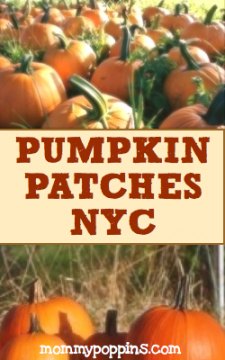 Pumpkin Patches Near NYC: Pumpkin Picking and Hayrides An Hour or Less From New York City