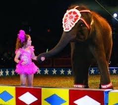 The Cole Brothers Circus: The Circus Is Coming to Town!