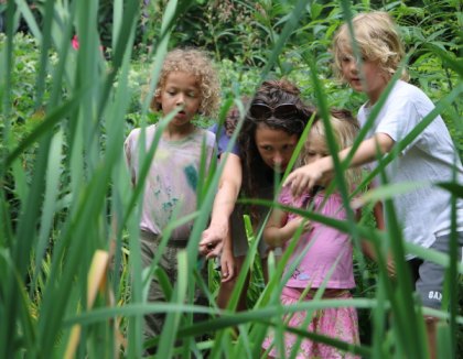 Briar Bush Nature Center Summer Camp Briar Bush Nature Center Summer Camp