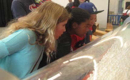 Things To Do With Kids In San Fernando Valley Things To Do With Kids In San Fernando Valley