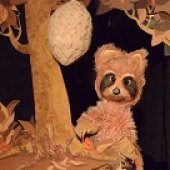 Raccoon Tales