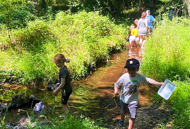 Things To Do in New Jersey this Summer: Rancoas Nature Center