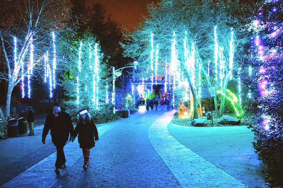 See more than a million lights on Christmas Day at LumiNature t the Philly Zoo. Photo by Georgi Anastasov. 