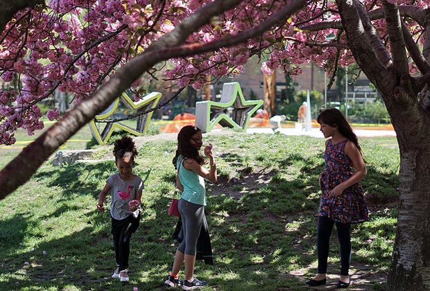 Free things to do in NYC: Socrates Sculpture Park