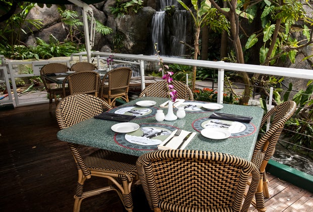 See the San Diego Zoo Like a Local: Dining at Albert's Restaurant