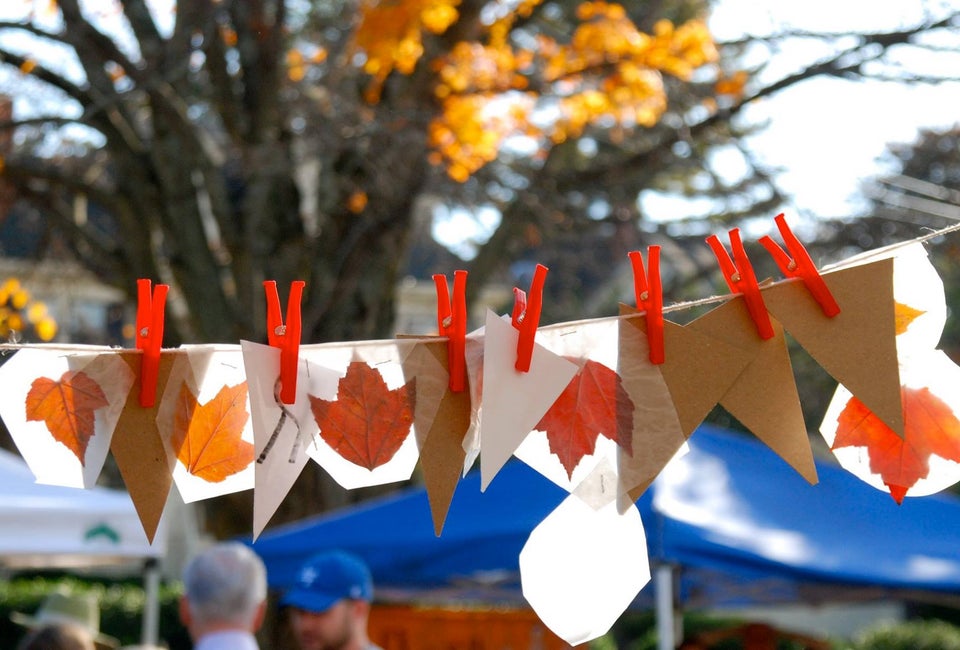 Annual Harvest Festival at LexFarm
