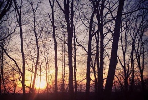 Winter Walks in Fairfield County