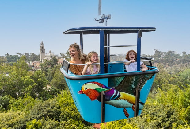 See the San Diego Zoo Like a Local: The Skyfari