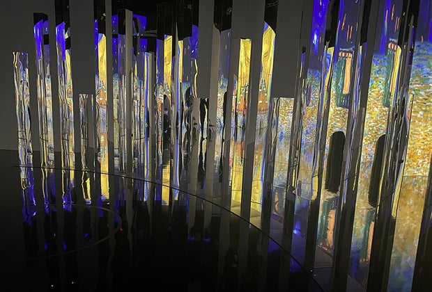 Immersive Van Gogh exhibit at Pier 36