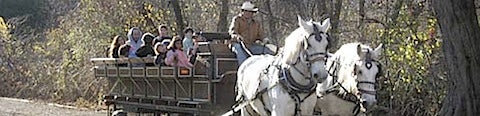 200812050113.jpg