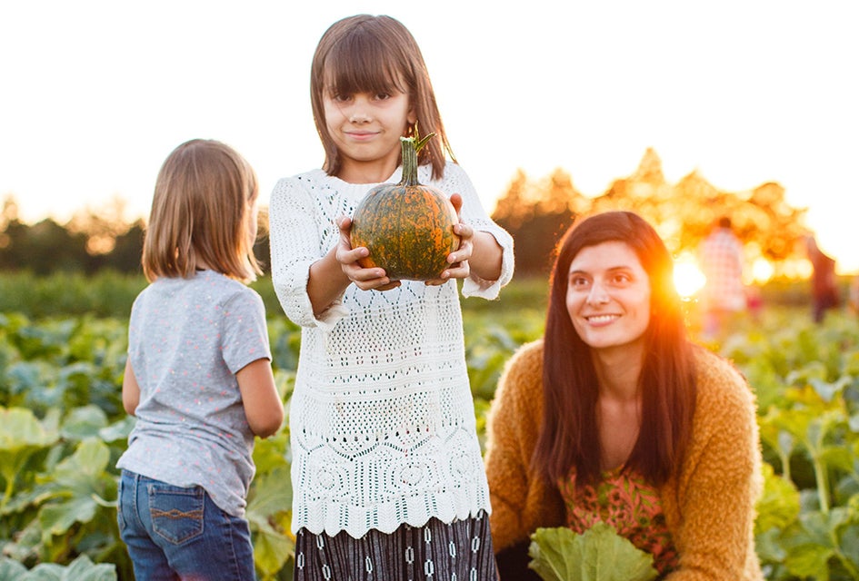 Fall Festival Weekends are happening at Johnson's Corner Farm. Photo courtesy of the farm
