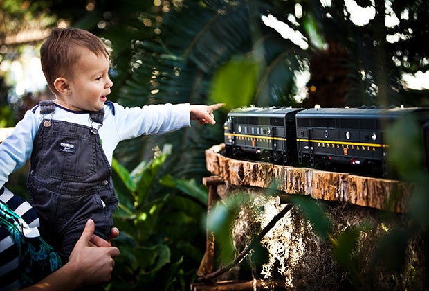 The New York Botanical Garden's holiday train show delight all ages. Photo by Talisman Photo/courtesy NYBG
