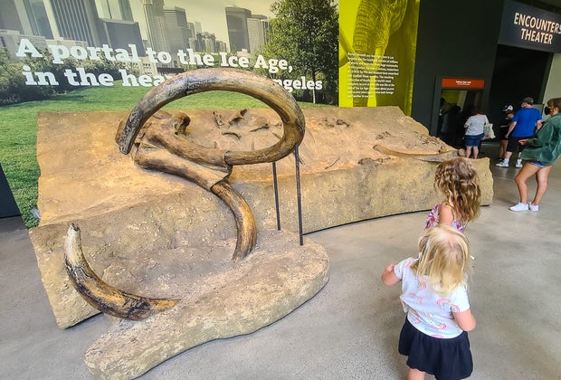 The La Brea Tar Pits and Page Museum: See fossils