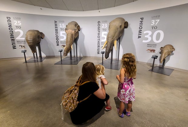 The La Brea Tar Pits and Page Museum: Hands on history