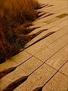 26EBC0F6-3A17-4A31-B8A8-F0D010674313.jpeg