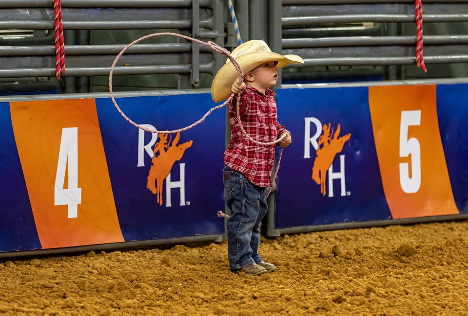 Houston Livestock Show and Rodeo