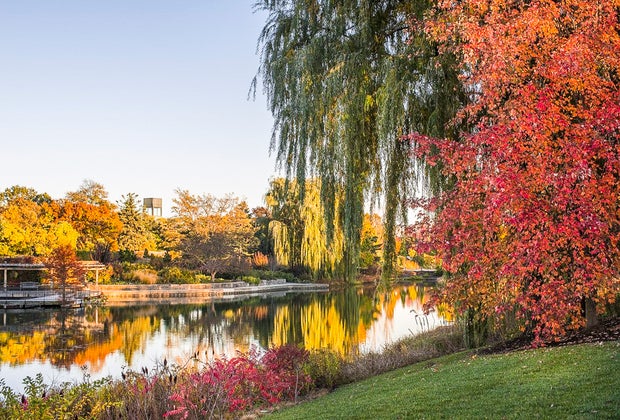 Fall activities in Chicago: Chicago Botanic Gardens