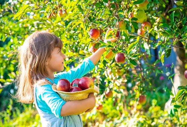 101 Funny Brain Teasers for Kids