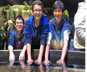 There are four tidal pools for kids to explore. Photos courtesy of Living Shores Aquarium