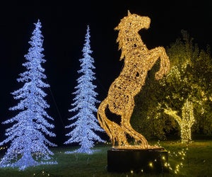 Lumagica packs plenty of twinkling holiday cheer into the grounds at Harvest Moon Orchard. 