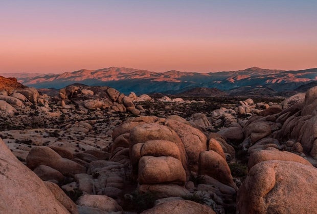 Winter Day Trips from Los Angeles: Joshua Tree