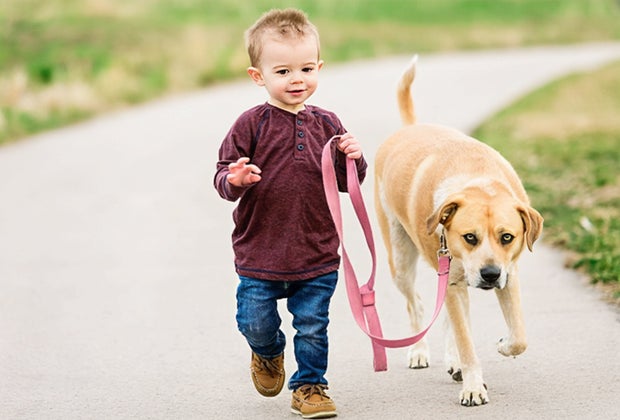 Brain Breaks for Kids: walking