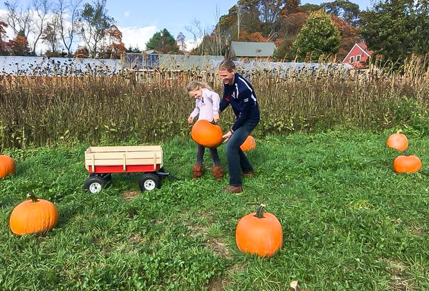 Image of family with pumpkins and wheelbarrow - Pumpkin Patches Near Boston