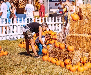 Pick out the best gourd at the Boca Pumpkin Patch Festival. Photo courtesy of the festival