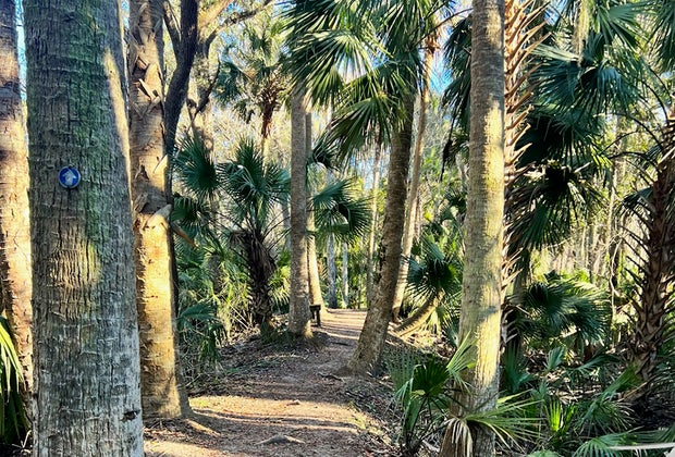 Black Bear Wilderness Area: 100 Free Fun Things to Do in Orlando with Kids