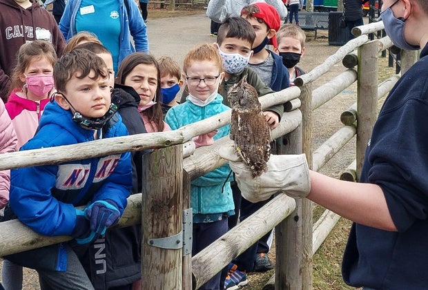 Photo of a zookeeper showing an owl to children.