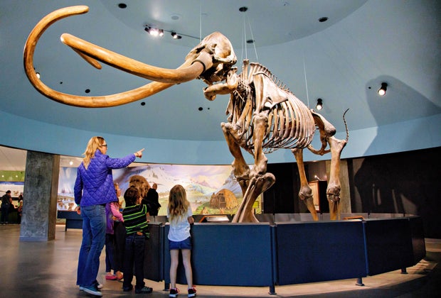 Free Admission for Kids at the Page Museum
