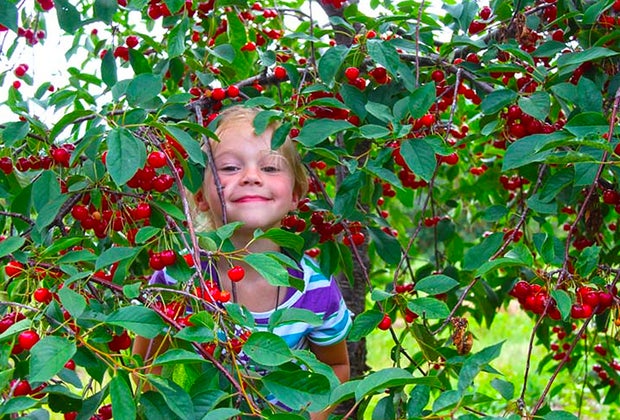 Family-Friendly Summer Weekend Getaways near Chicago: Door County