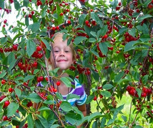Nearby Door County has water sports, orchards, scenic attractions, golf, lighthouses, and more. 