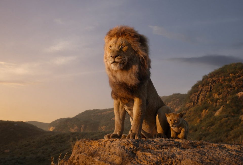 The Lion King (2019) (PG)