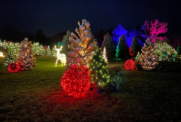 Lumagica Opens at Harvest Moon Orchards