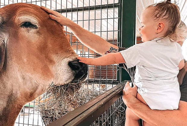 Meet and greets with farm animals is always fun.