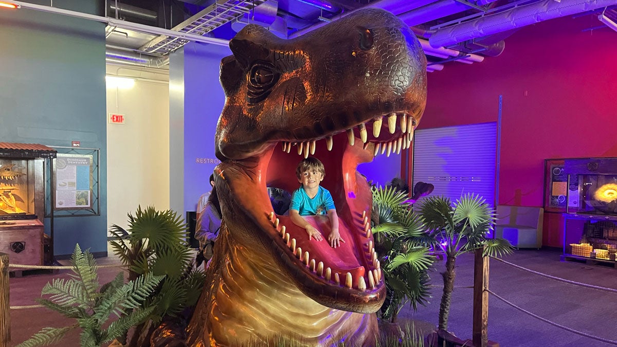 Little boy having fun at Discovery Cube LA. Photo by Kylie Williams