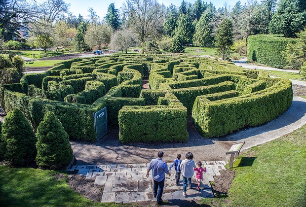  Best Things To Do in Vancouver, BC:: VanDusen Botanical Garden