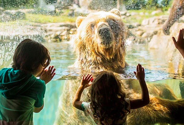 Family-Friendly Summer Weekend Getaways near Chicago: Minneapolis