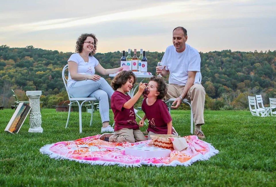 Photo courtesy of Aquila’s Nest Vineyard