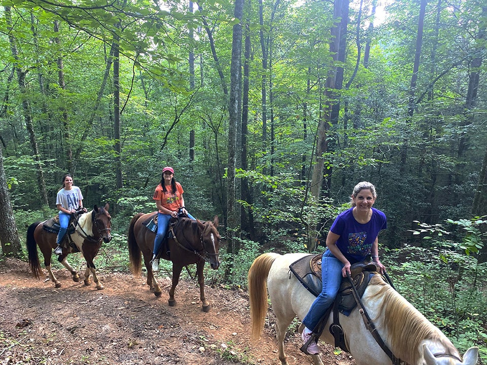 Experience the wonder of the Blue Ridge Mountains by horseback riding along the Appalachian trails. Photo by Bill Leffler