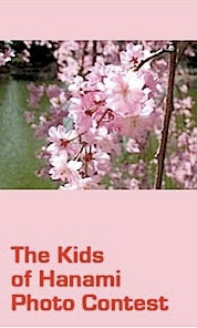 Hanami.jpg