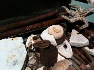 IMG_0226.jpg
