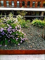 IMG_1314.JPG