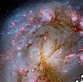 Picture 73.png